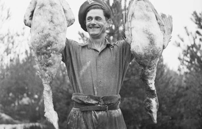 Dangerous Species Humans